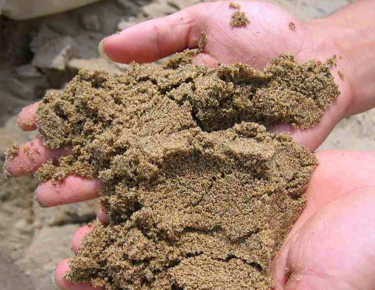 ��ɳ�����O��